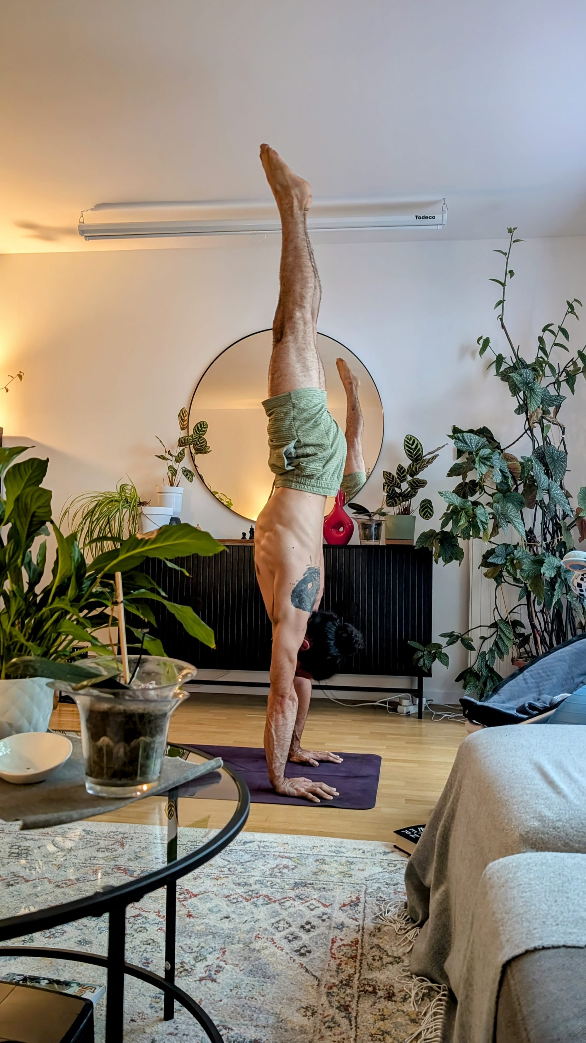 Atelier Handstand - The New Cool